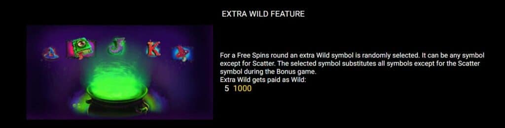 สัญลักษณ์ Extra Wild เกม Richy Witchy